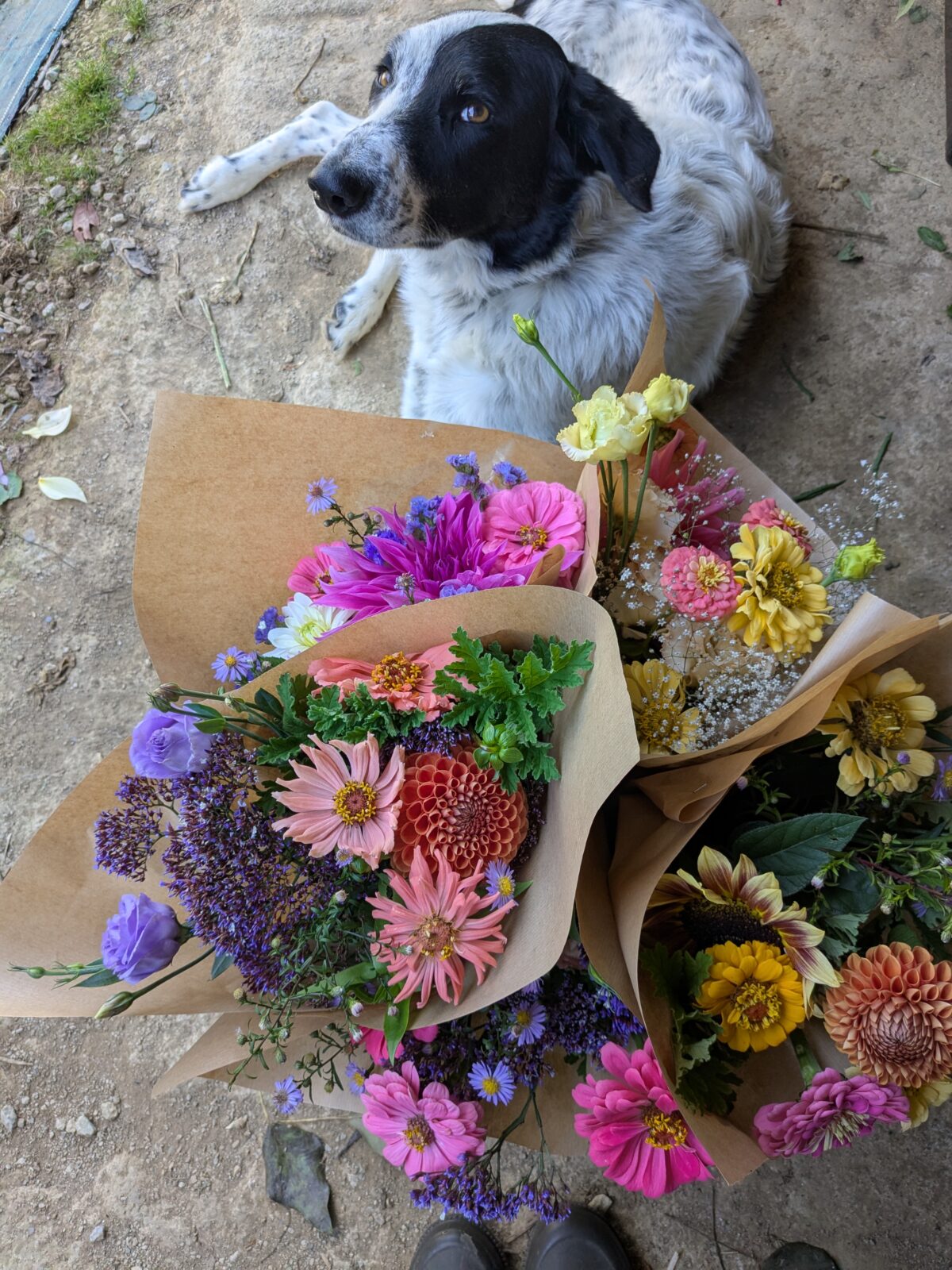 Abonnement floral La Fine Fleur (6 mois) – Image 3